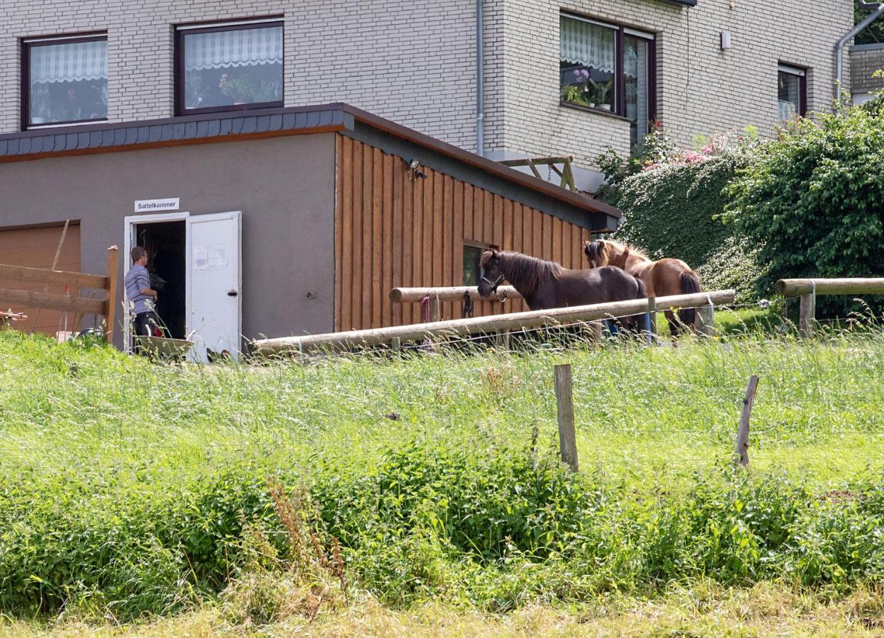 Ferienwohnung Roderath Nettersheim Экстерьер фото